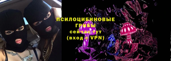 ПСИЛОЦИБИНОВЫЕ ГРИБЫ Бердск