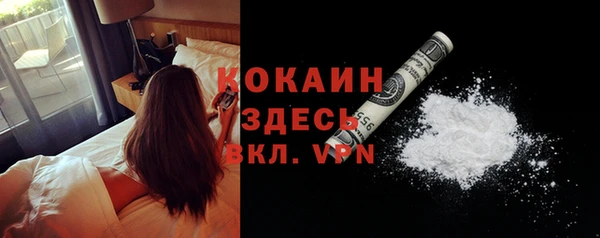 ПСИЛОЦИБИНОВЫЕ ГРИБЫ Бердск