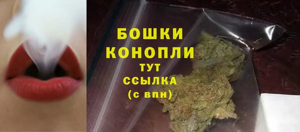 ПСИЛОЦИБИНОВЫЕ ГРИБЫ Майский