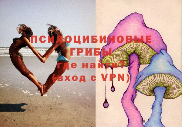 герыч Магас