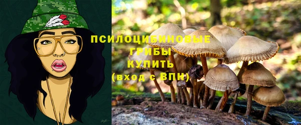 герыч Магас