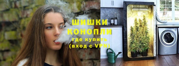 ПСИЛОЦИБИНОВЫЕ ГРИБЫ Майский