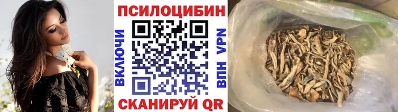 МЕГА ссылки магазин продажи наркотиков Новопавловск Галлюциногенные грибы прущие грибы